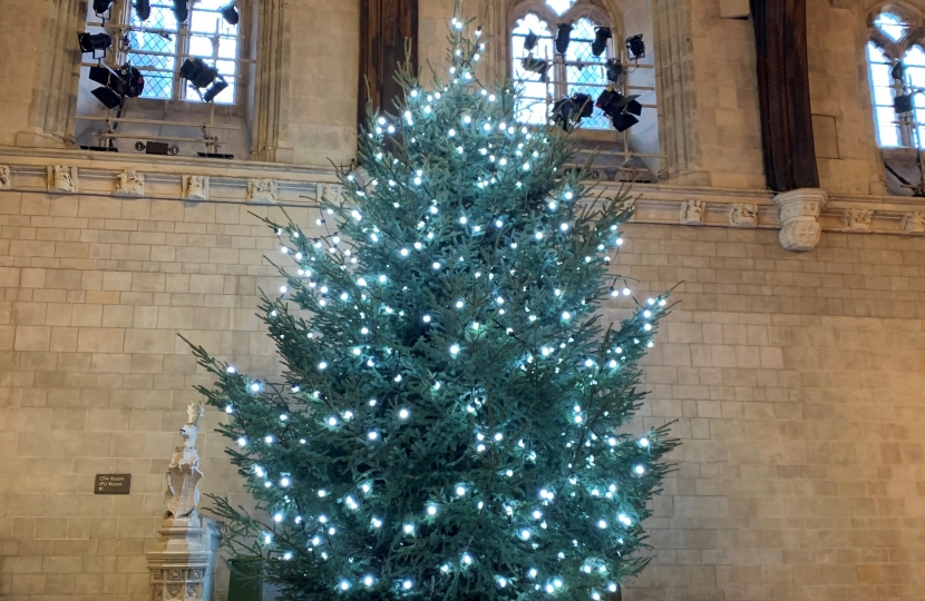 Westminster Hall tree