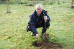 Tree Planting in Windlesham